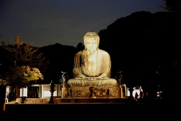 <p>Great Buddha at night</p>