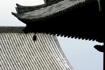 <p>Temple roof tops against a dull sky</p>