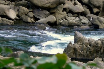 Kaeru-Iwa Rapids on the Seta River