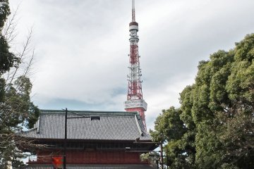 <p>东京铁塔是东京的重要地标，人们从远处就能望到他的身影。</p>