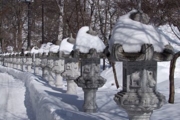 <p>Lanterns poking out from the snow</p>