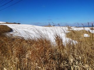 Bạn thường có thể tìm thấy tuyết nằm dọc theo con đường sữa, vì nhiệt độ thấp hơn rất nhiều so với trong thung lũng