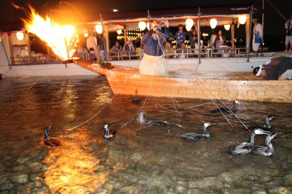 I was lucky enough to witness twice the Japanese traditional method of fishing in Gifu.  This fishing method known as cormorant fishing or ukai has been around for 1300 years.  The whole experience is very interesting as it is one-of-its kind.  On top of 