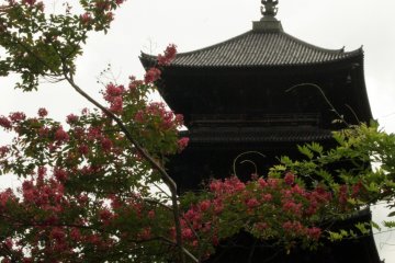 <p>The pagoda of&nbsp;Toji Shrine</p>