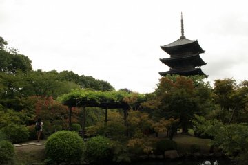 <p>The majestic and serene Toji&nbsp;Shrine</p>