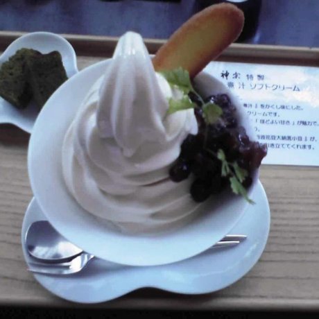 Kansou Seaweed Ice Cream