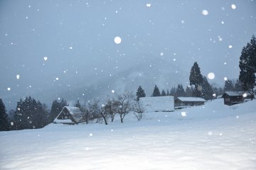 หลัง 5 โมงเย็น หิมะโปรยลงมาอย่างต่อเนื่อง! จนรู้สึกราวกับกำลังมองภาพในเทพนิยายยังไงยังงั้น