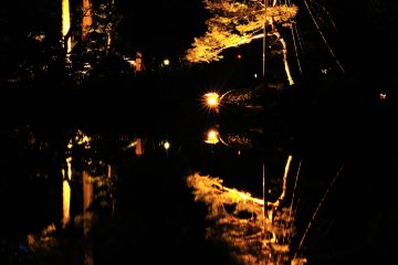 <p>Trees illuminated in golden hues at Kenrokuen Garden</p>