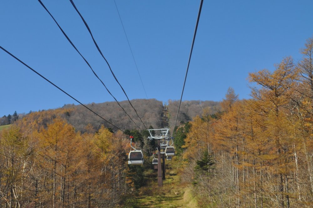 View from within the gondola