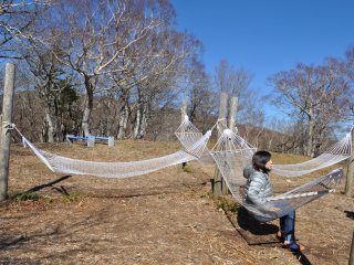 Relaxing in hammocks put out for visitors to enjoy