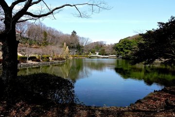 <p>Pond at Yakushiike Park</p>