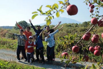 <p>This picture entails the wonderful people we helped picking apples with. In the background you can also see Mt.Iwaki</p>