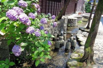 The Flowers of Igawa-komichi
