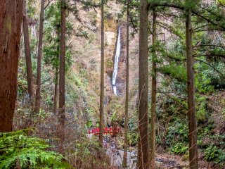 Suddenly, you will get your first glimpse of these falls through an opening in the forest canopy&nbsp;