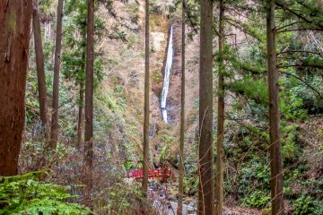 <p>Suddenly, you will get your first glimpse of these falls through an opening in the forest canopy&nbsp;</p>
