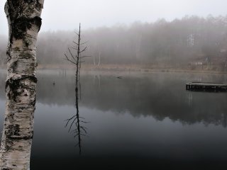 女神湖の朝靄の中！さすがに朝は冷え込む