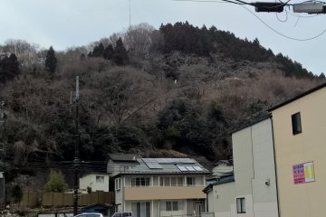 <p>One of the hills where hundreds of people escaped from the tsunami</p>