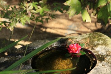 <p>Tsukubai, a stone water basin in the garden</p>
