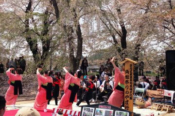 The fluid movements of the dance troupe at the Kakunodate&nbsp;Festival.