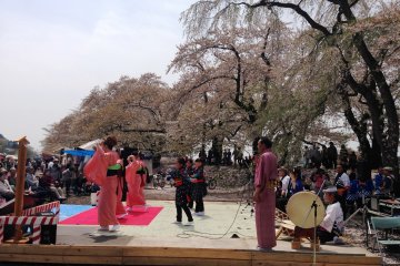 Cherry blossoms, dancing ladies and mountain vistas complete the scene at the Kakunodate Festival