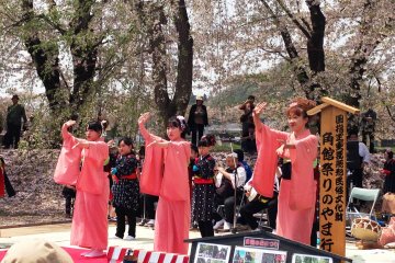 Kakunodate Cherry Blossom Festival