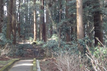 <p>The path leads to the solemn Okosama Gobyo&nbsp;graveyard</p>