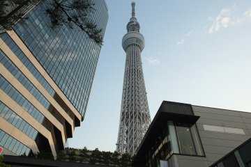 ไปเที่ยว Tokyo Skytree กันไหม?
