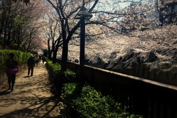 <p>Alternatively, you could get off at Meguro&nbsp;Station and walk down to the river ...</p>