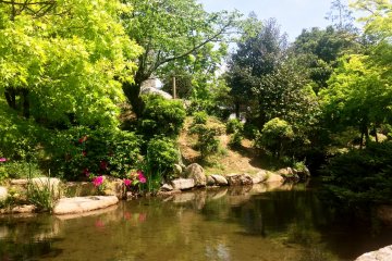 <p>There are a number of Japanese ponds in this garden.&nbsp;</p>