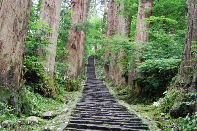 Stone path and “avenue of cedar trees” (Sugi-Namiki) on Mount Haguro.