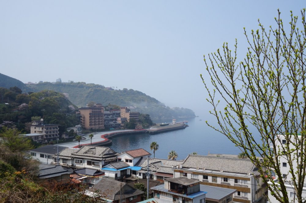 Hàng hoa anh đào bắt đầu ở suối nước nóng Yunoko  (湯 の 児 温泉) và chạy xung  quanh bờ biển phía nam.