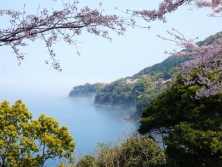 Sự tương phản của màu hồng, xanh lá cây, và xanh ngọc lam. Đây đặc trưng của hàng anh đào Yunoko và là một trong những lý do nó được chọn là một trong 100 địa điểm hàng đầu để ngắm hoa anh đào ở Nhật Bản