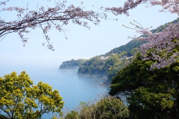 <p>The&nbsp;contrast of pink, green, and turquoise blue that is characteristic to the Yunoko&nbsp;Cherry Line is one of the reasons it has been selected as one of the top 100 places to view cherry blossoms in Japan.</p>