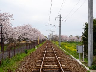 ข้ามทางรถไฟ