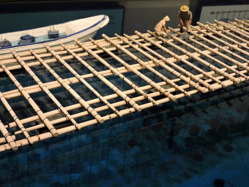 <p>Model of bamboo float with oyster nets suspended beneath</p>