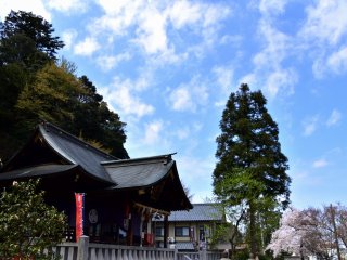 Đền Kurotatsu với hoa anh đào dưới bầu trời xanh