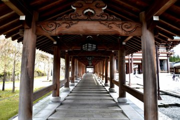 <p>Long ascending roofed corridor leading to Daibutsu-den Hall (Big Buddha Hall)</p>