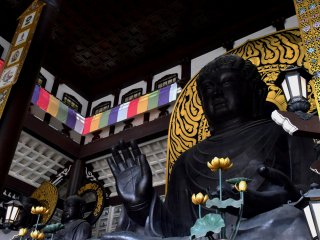 Nhìn lên Đại Phật Echizen cao 17 mét, cao hơn Đại Phật Chùa Todai-ji ở Nara 2 mét và là bức tượng Phật trong tư thế ngồi cao nhất Nhật Bản.