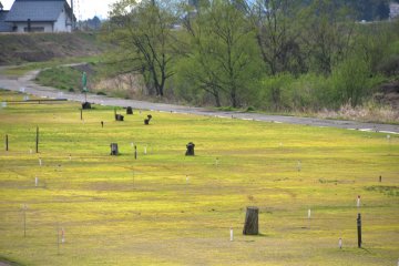 <p>Green lawn of a mallet golf course</p>