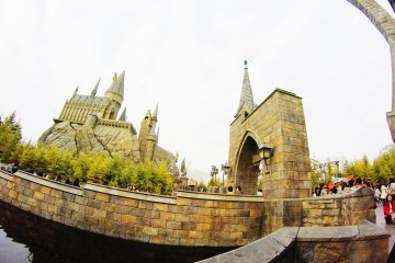 Hogwarts is surrounded by the Black Lake
