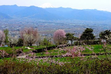 <p>View over the park to Mount Fuji</p>