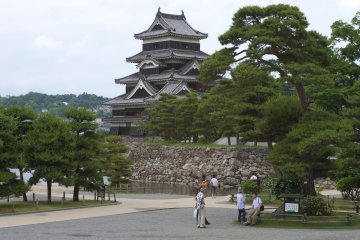 <p>Прилегающая к замку территория утопает в пышной зелени японских сосен</p>