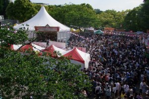 Crowds packed in for the summertime international festivals