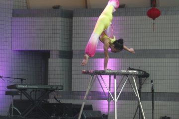 <p>Acrobatics at the Vietnam Festival</p>