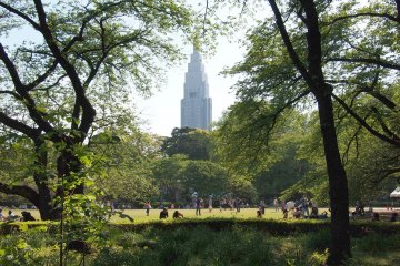 <p>Shinjuku Gyoen National Garden Open 9:00-16:00 (Gates close at 16:30) Closed Monday&nbsp;</p>