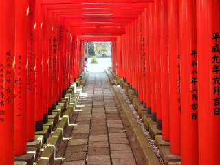 Les enfants du voisinage jouent souvent dans ce tunnel de torii