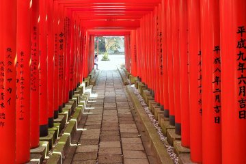 Children of the neighborhood often play in and around the torii &#39;tunnel&#39;.