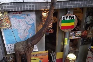 <p>The giraffe guarding the entrance is perfectly tame</p>