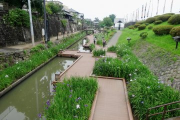 <p>You can follow a zigzag boardwalk along the river</p>