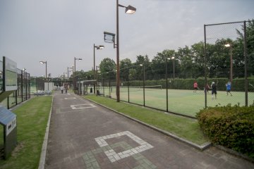 <p>This is really the largest open tennis court facility i&#39;ve ever seen.</p>
